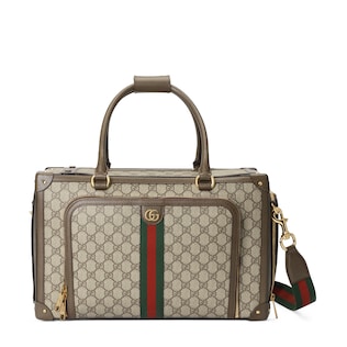 Small GG pet carrier with Web