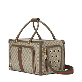 Small GG pet carrier with Web