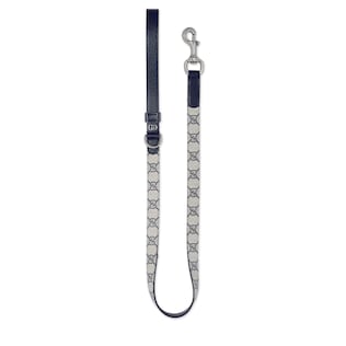 Small/medium pet leash