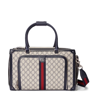 Small GG pet carrier with Web