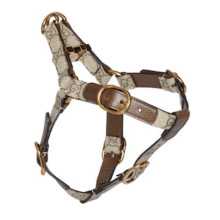 Small/medium pet harness