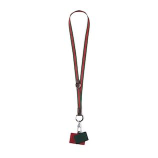 Lanyard phone holder with Web