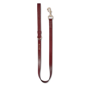 Small/medium leash