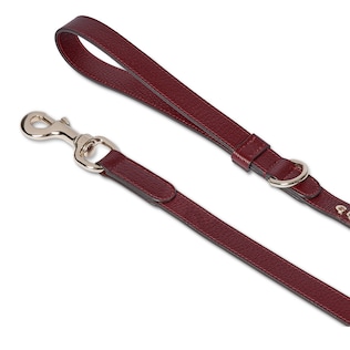 Small/medium leash