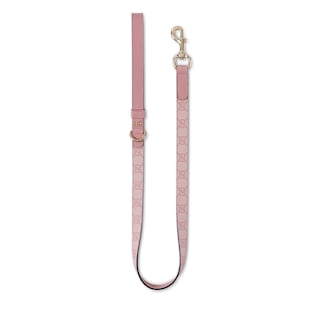 Small/medium leash