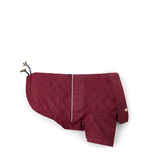 GG nylon pet rain coat