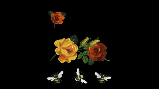 Gucci wallpaper for online apple watch