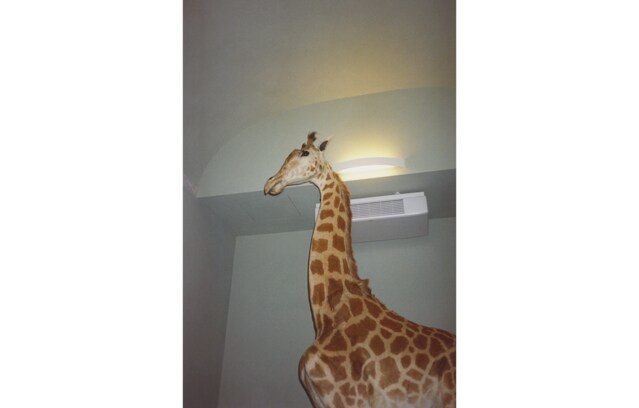 A Magazine Curated By Alessandro Michele - Part II - Gucci