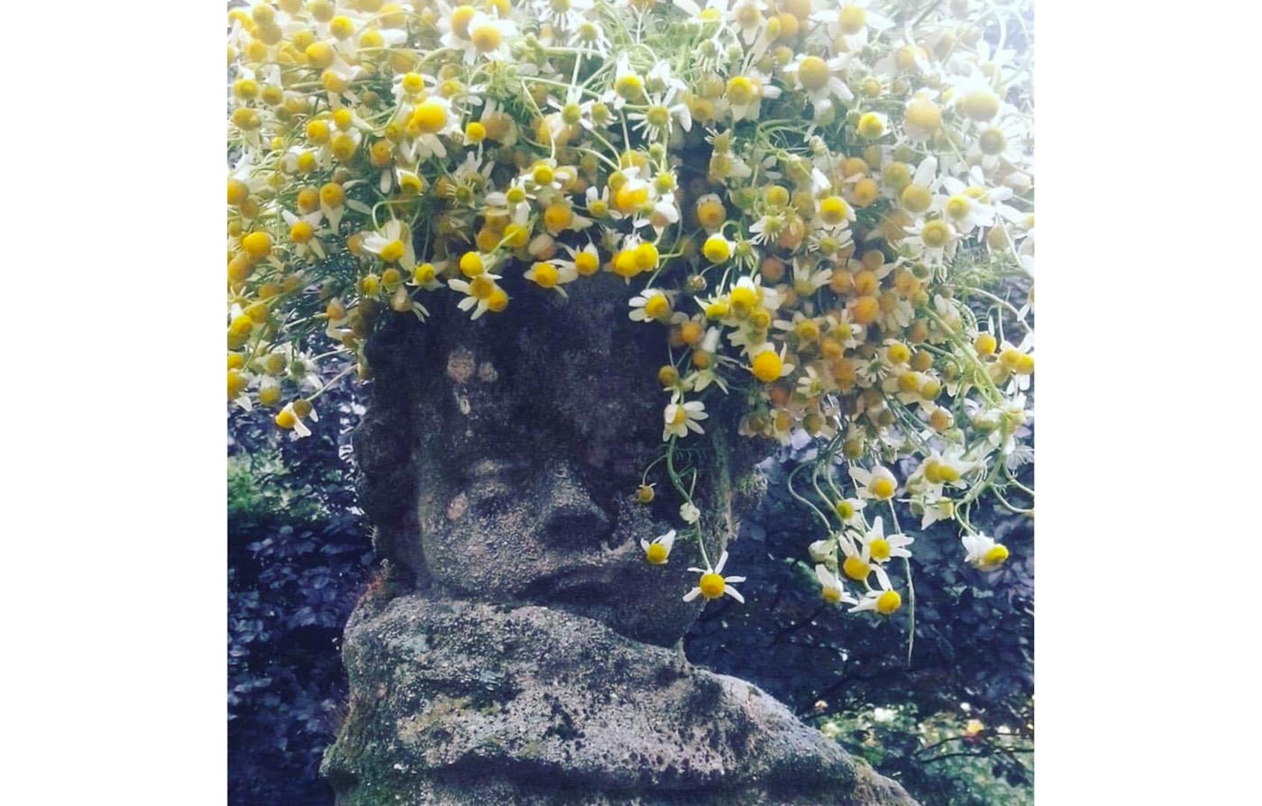 Avant le lancement du nouveau parfum Gucci, partez à la découverte de recoins fleuris de l’espace urbain sur Instagram. #InBloom