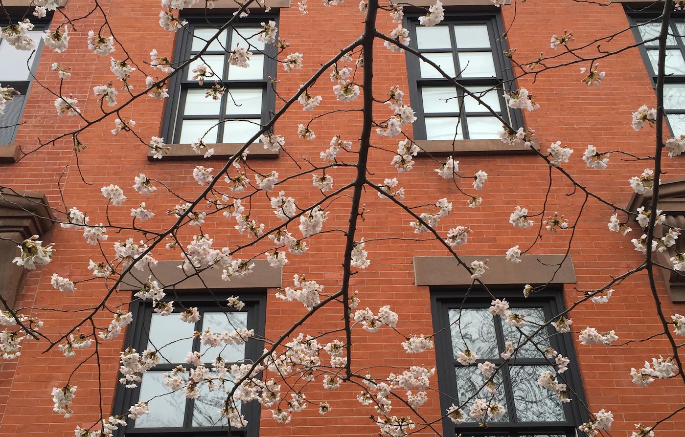 Avant le lancement du nouveau parfum Gucci, partez à la découverte de recoins fleuris de l’espace urbain sur Instagram. #InBloom