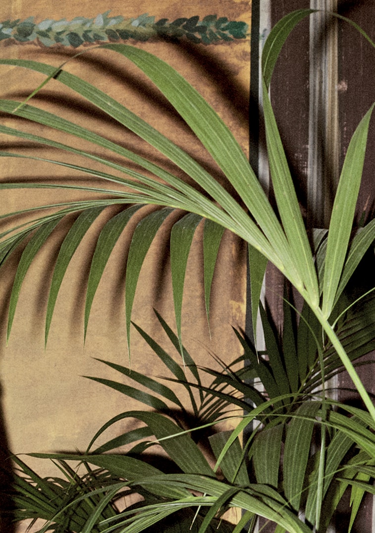 Exotic blooms and lush plants on the season's accessories and men's jackets. Dark Paradise
