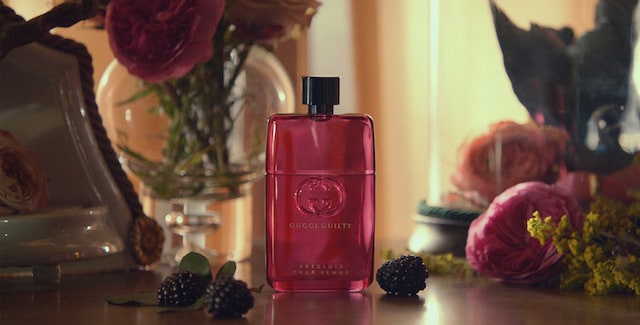 A note of wild blackberry in new fragrance Gucci Guilty Absolute