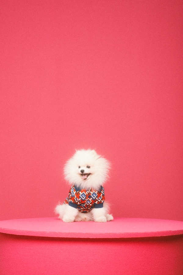 DiaryPhotogalleryVertical_Gucc