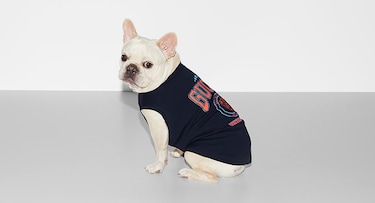 Designer Dog Clothes | Pet Clothes | Gucci® US | GUCCI® US