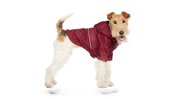 新品GUCCI犬洋服ポロシャツXXSグッチアパレル小型犬リードペットアトリエgg グッチ ペットウェア 犬服 ペットグッズ | GUCCI公式