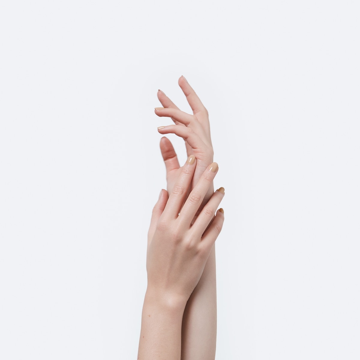 212​ Annabel Rose​, Vernis à Ongles Nail Polish