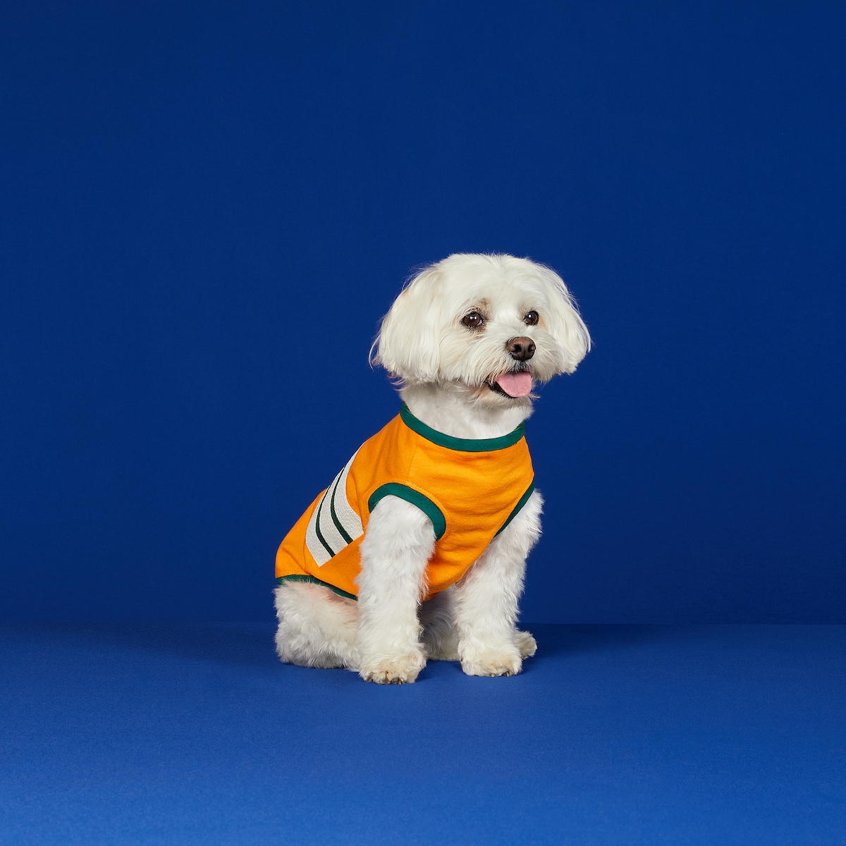 Pet cotton T shirt with Interlocking G in yellow GUCCI US