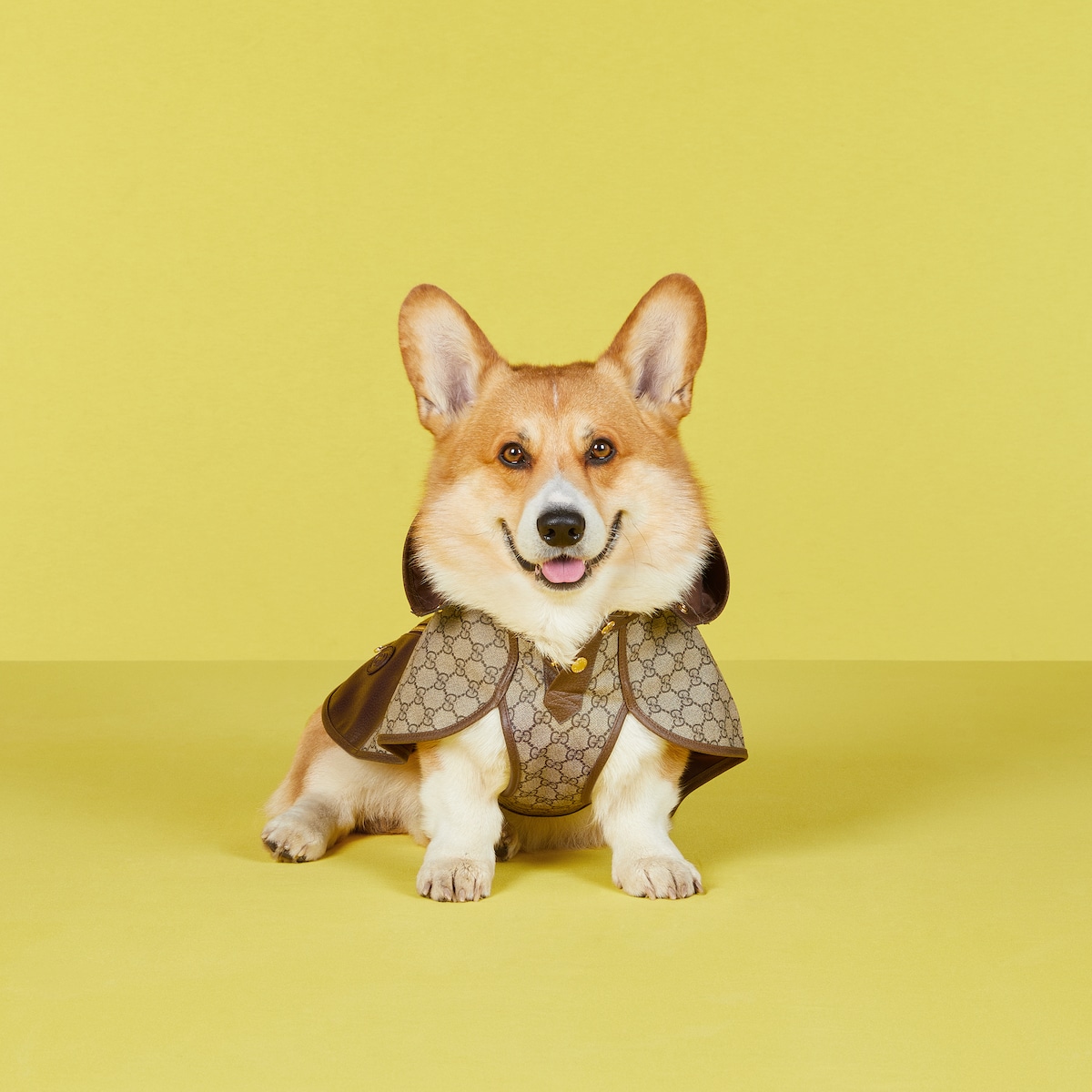 GUCCI 犬用ウェアコート XS org.jpg