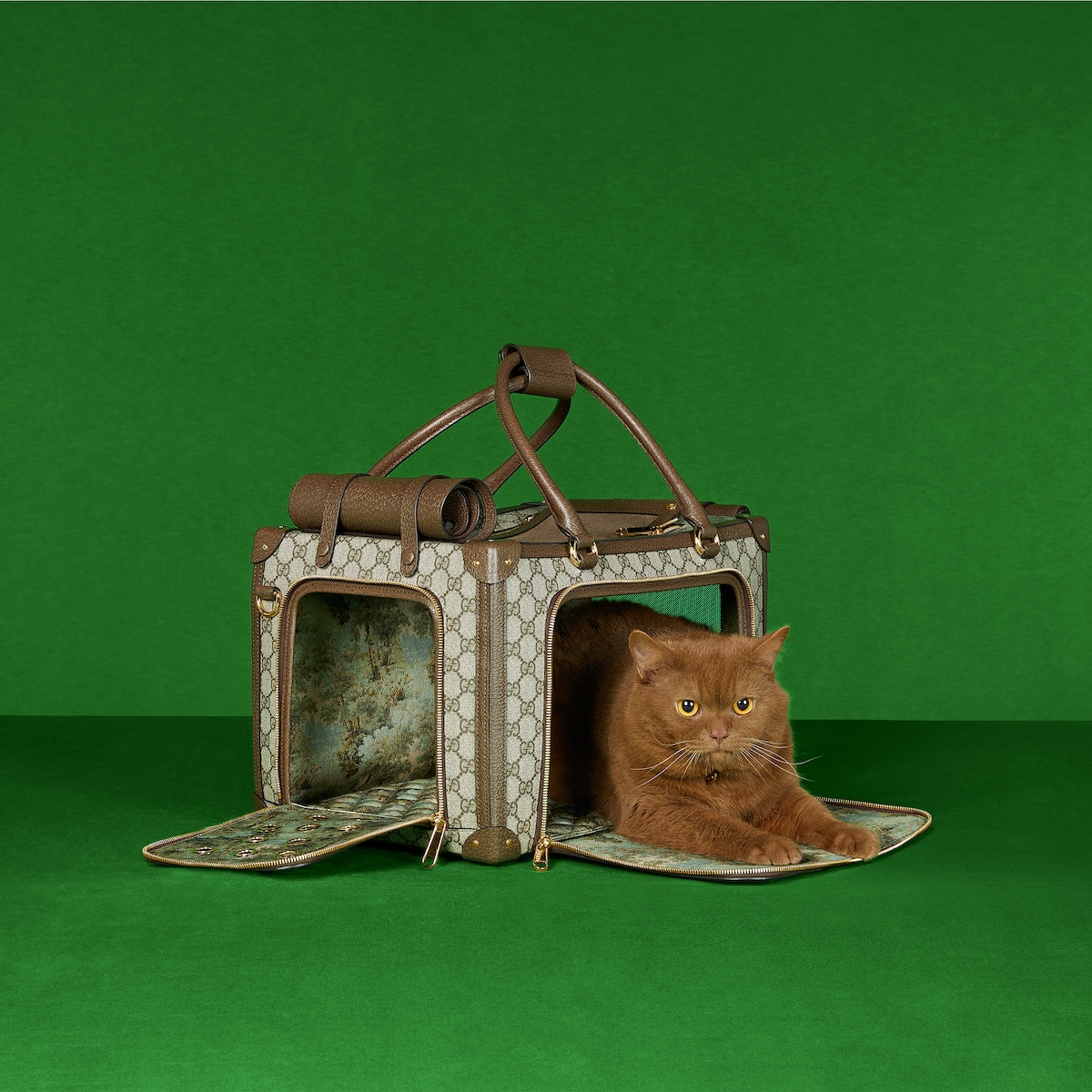 GUCCI ペットキャリーバッグ Small GG pet carrier with Web in beige and ebony Supreme