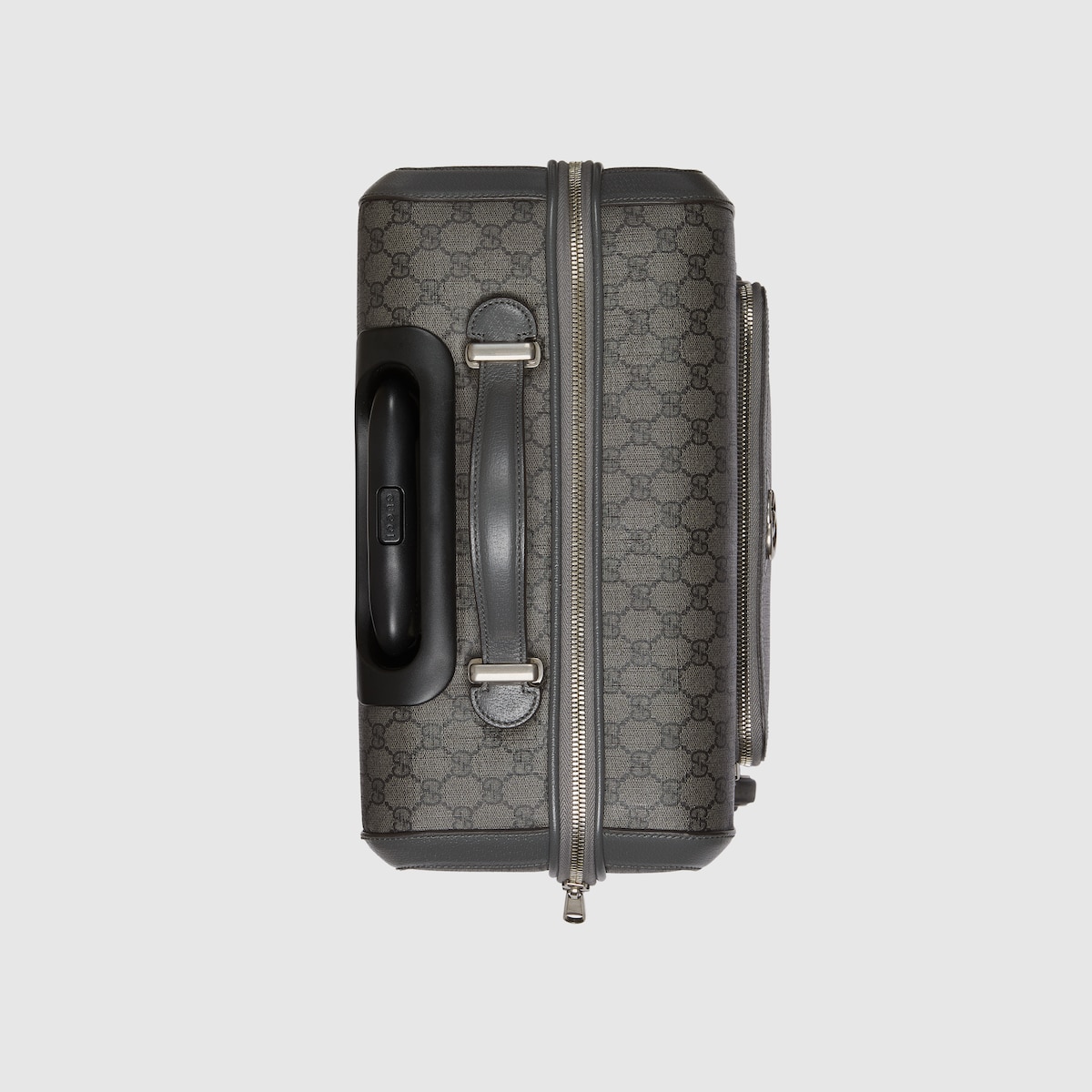 Gucci carry on luggage online