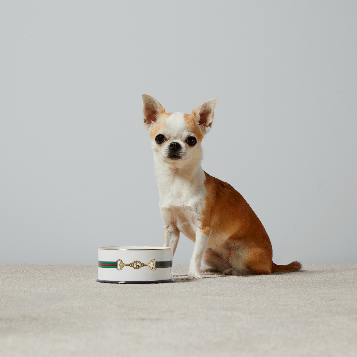 グッチ デコールホースビット プリント スモール ペット ボウル