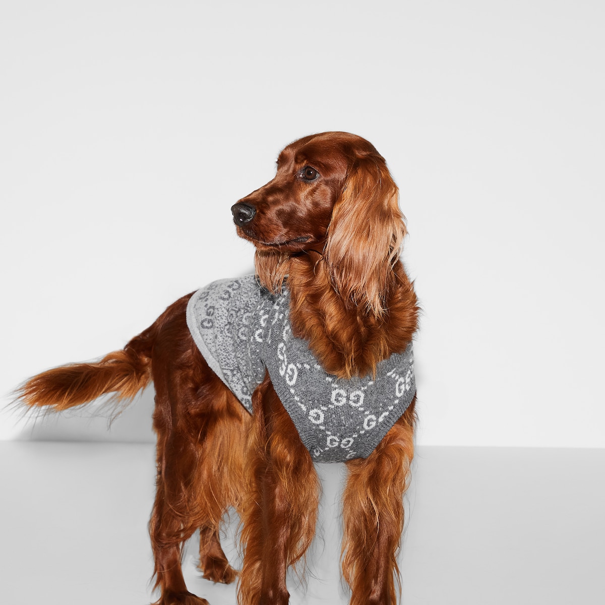 695741_ZASNC_1039_009_100_0000