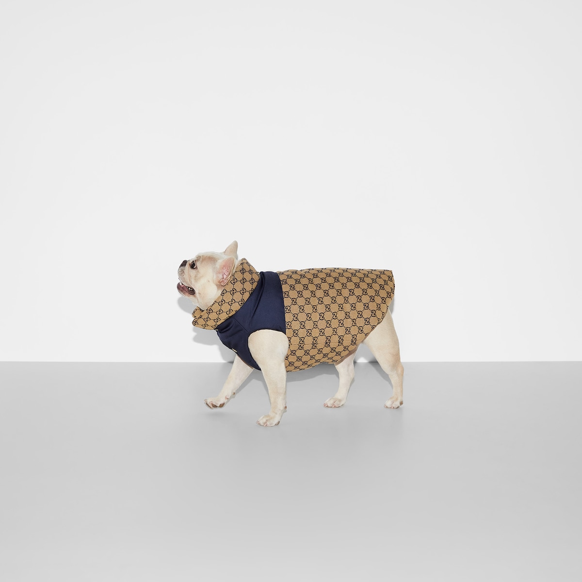 GUCCI 犬用コート ピンク・ネイビー GGパターン サイズM Reversible GG pet coat in beige and blue | GUCCI® US