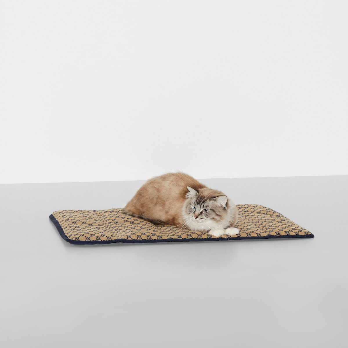 Portable pet bed