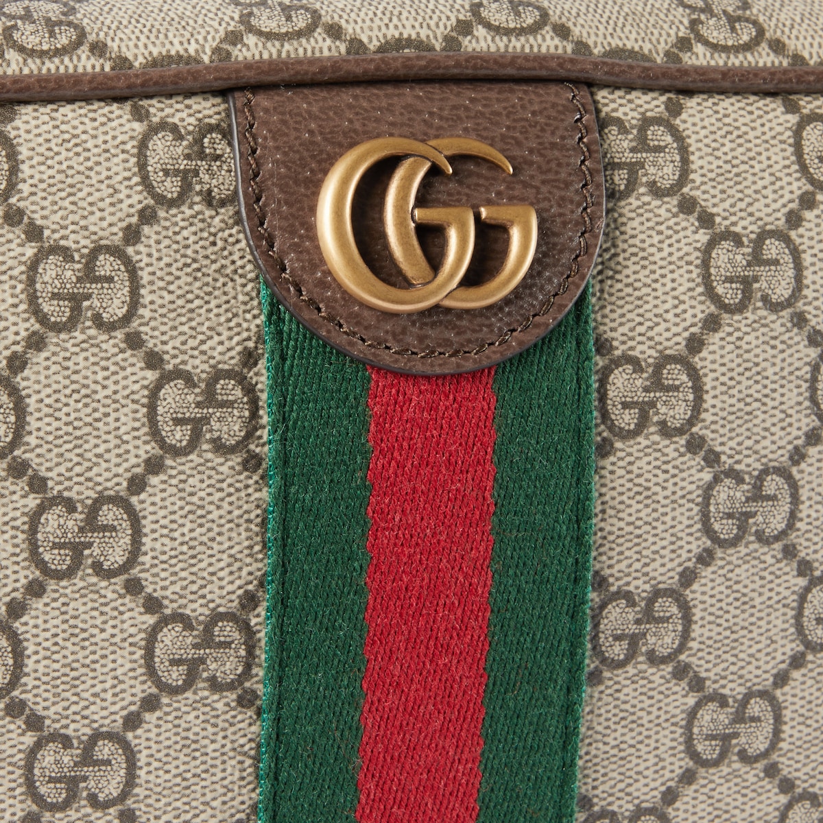 Ophidia medium crossbody bag