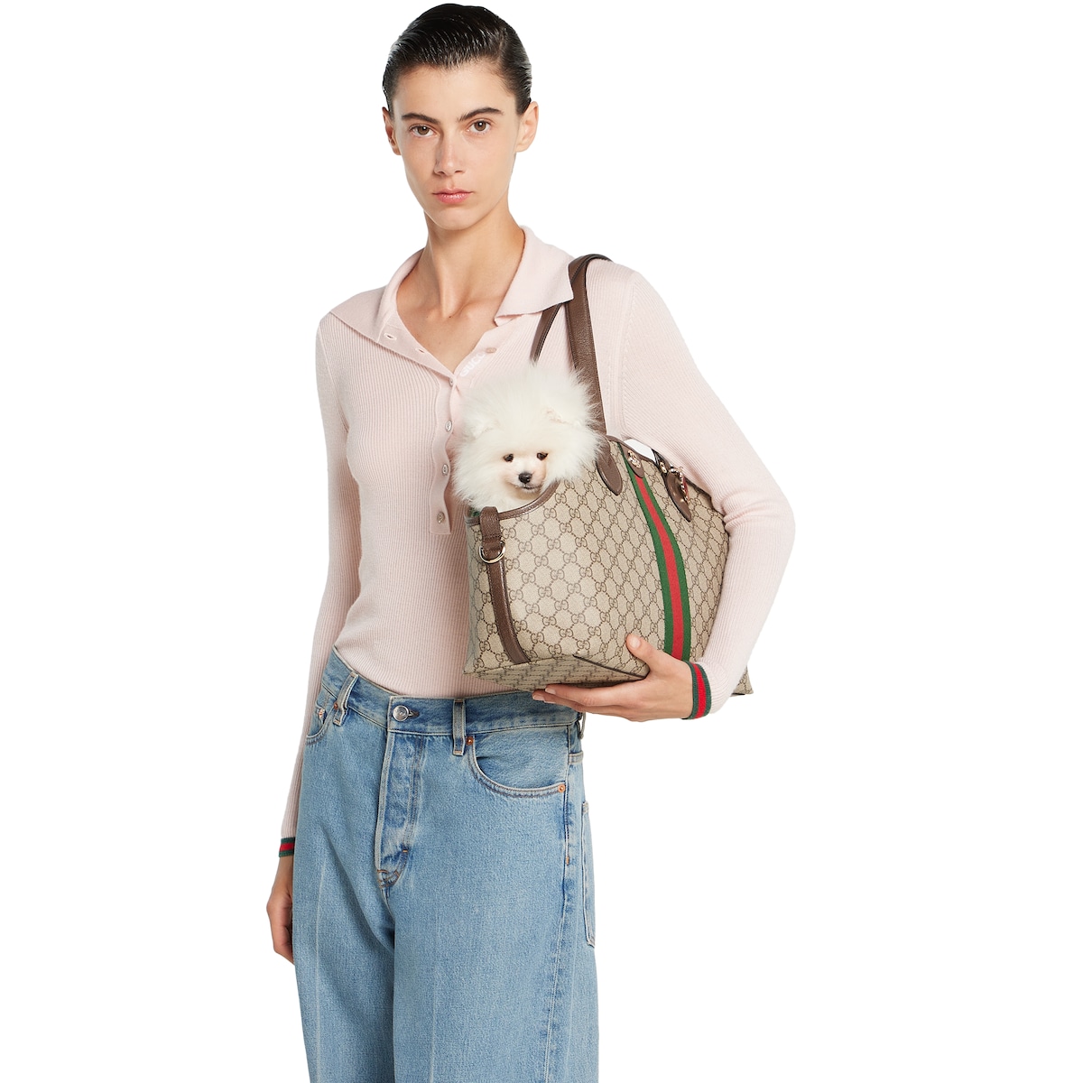 GG Monogram small pet tote bag
