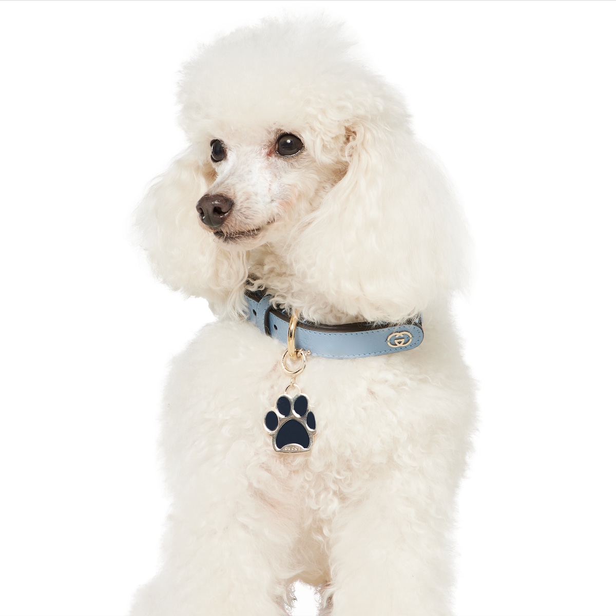 パウ（肉球）シェイプ チャーム ・ブラス＆ブルー ラッカー