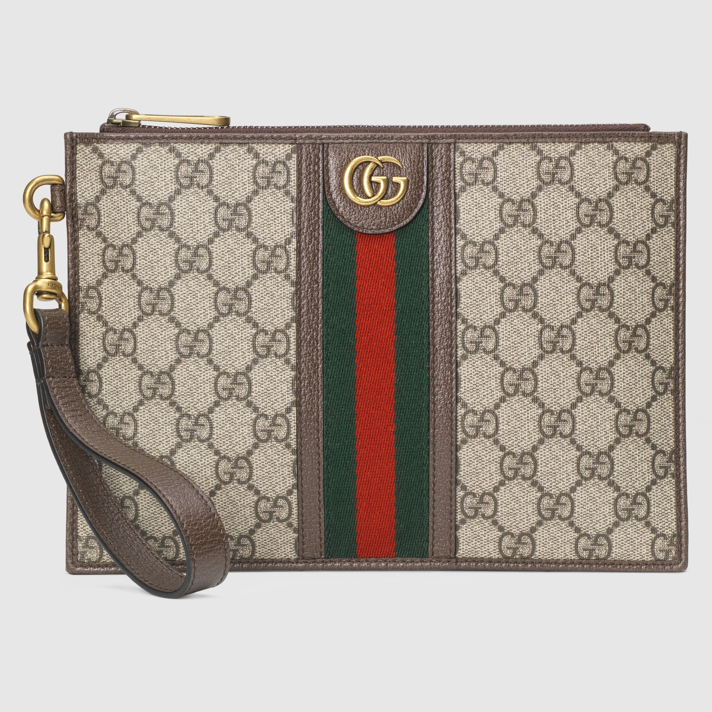 672989_96IWT_8745_001_100_0036_Light-Ophidia-pouch-with-Web.jpg