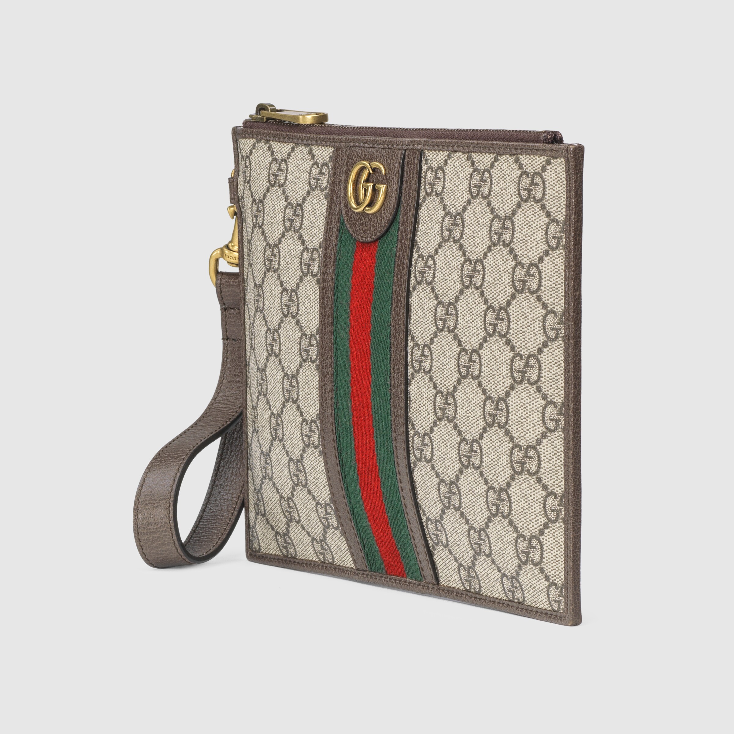672989_96IWT_8745_002_100_0036_Light-Ophidia-pouch-with-Web.jpg