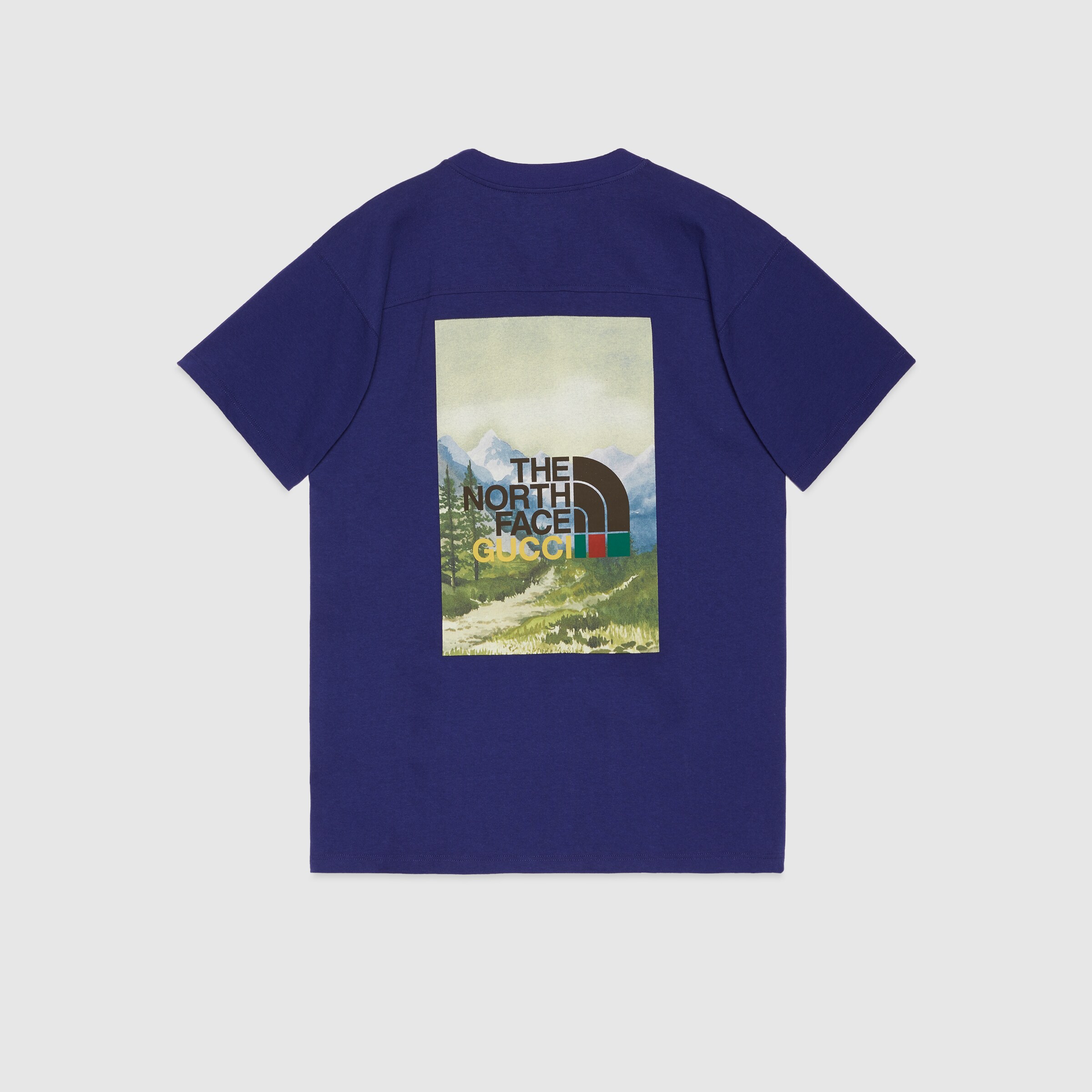 671443_XJDRB_4409_008_100_0000_Light-The-North-Face-x-Gucci-T-shirt.jpg