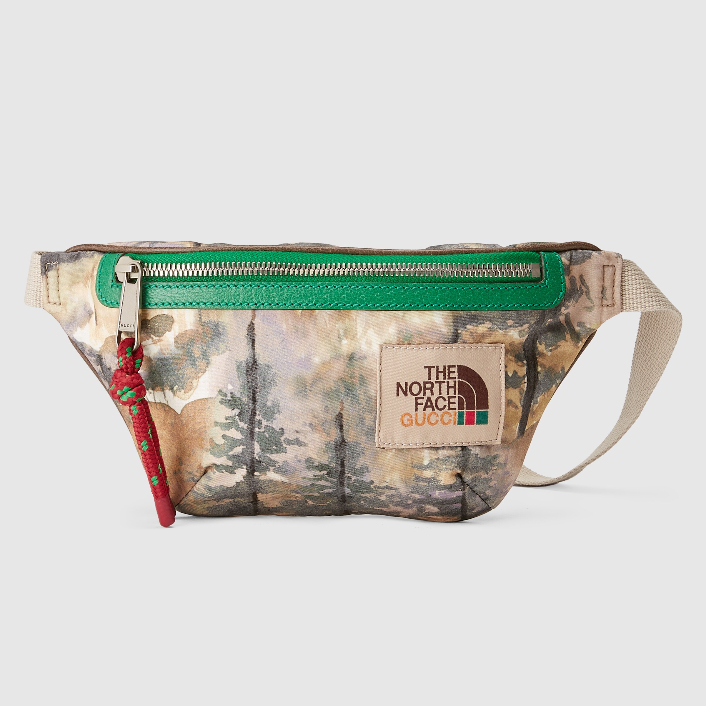 650299_UIMBN_3198_001_067_0016_Light-The-North-Face-x-Gucci-belt-bag.jpg