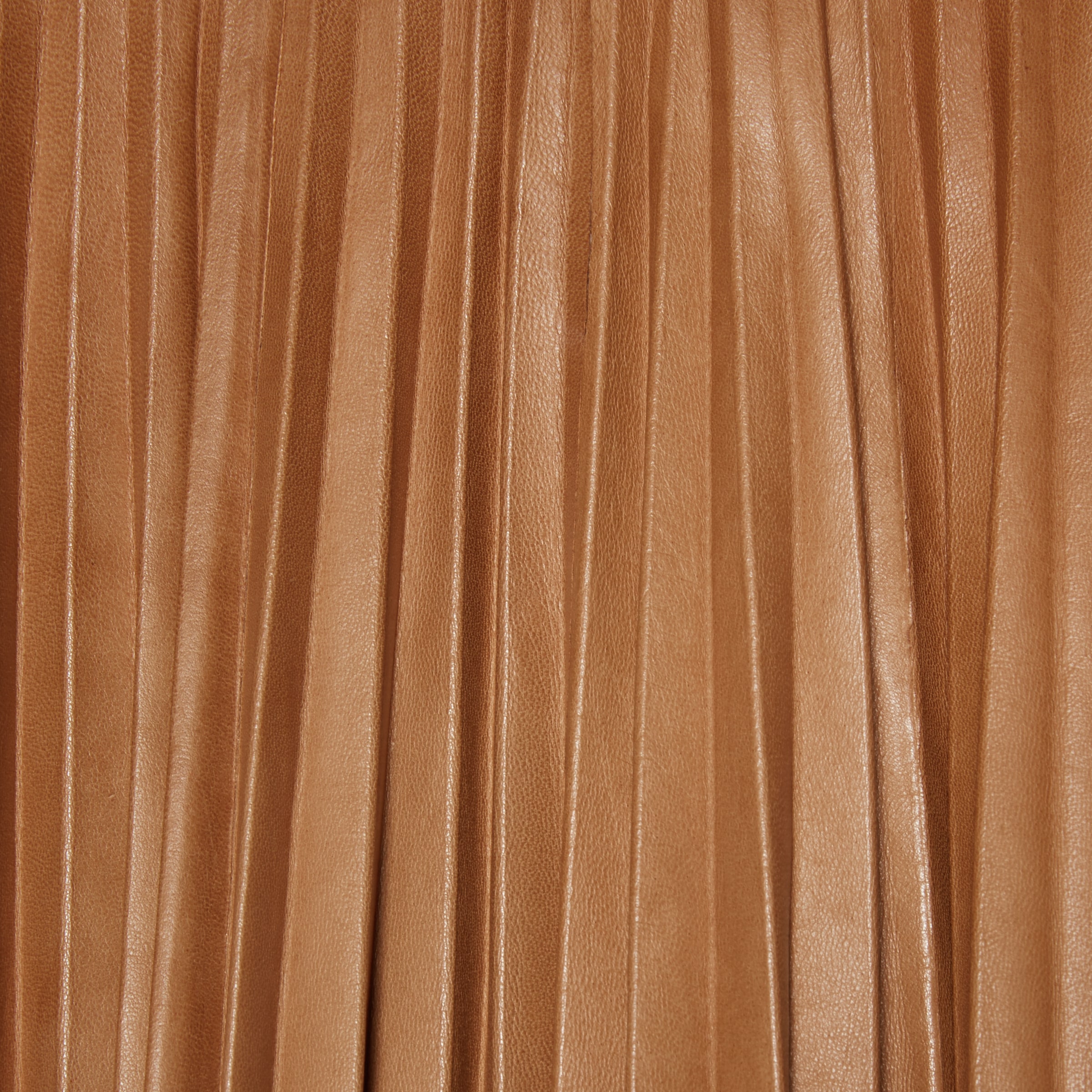 663898_XNAOZ_2265_012_100_0000_Light-2015-Re-Edition-pleated-leather-skirt.jpg