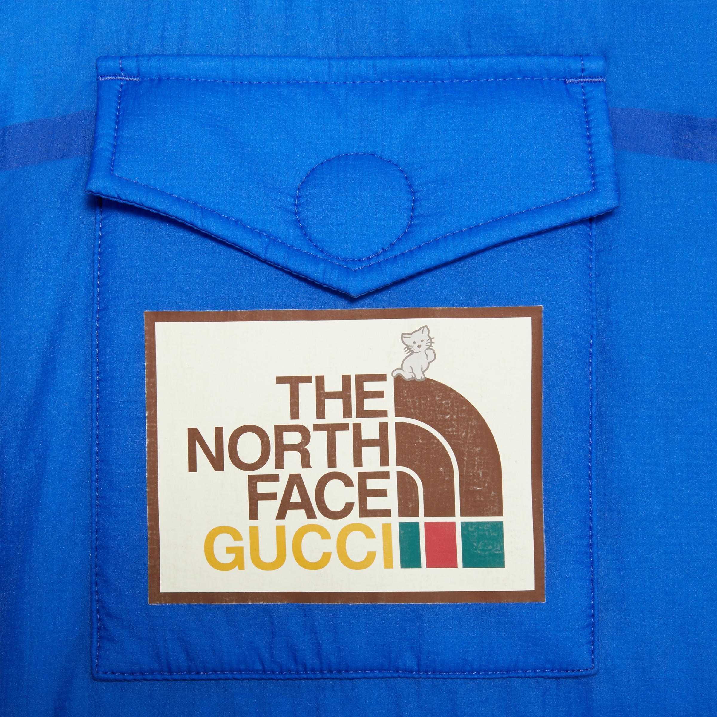 663761_XAACX_4316_014_100_0000_Light-The-North-Face-x-Gucci-down-vest.jpg