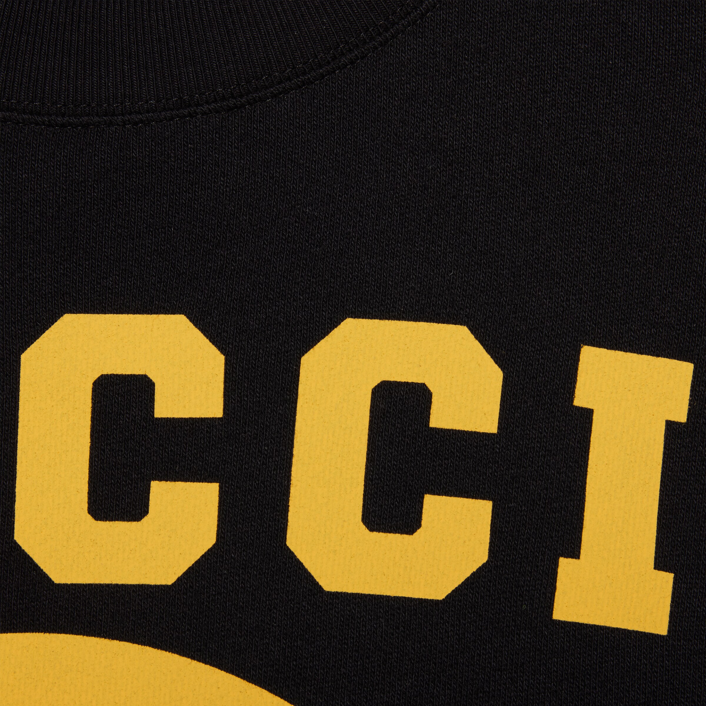 623245_XJD3U_1152_011_100_0000_Light-Gucci-Tiger-cotton-sweatshirt.jpg