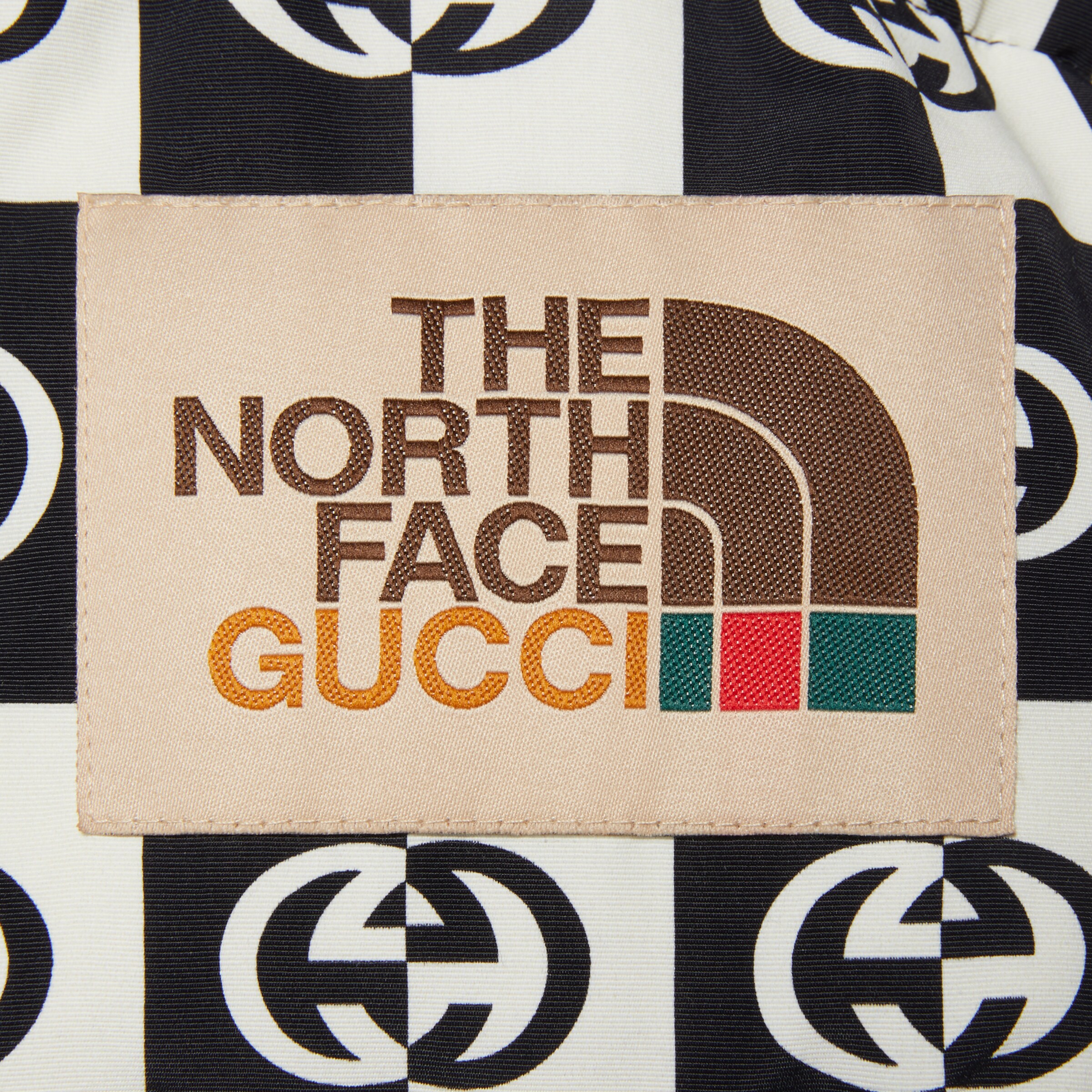 670653_XAADQ_9207_011_100_0000_Light-The-North-Face-x-Gucci-down-jacket.jpg