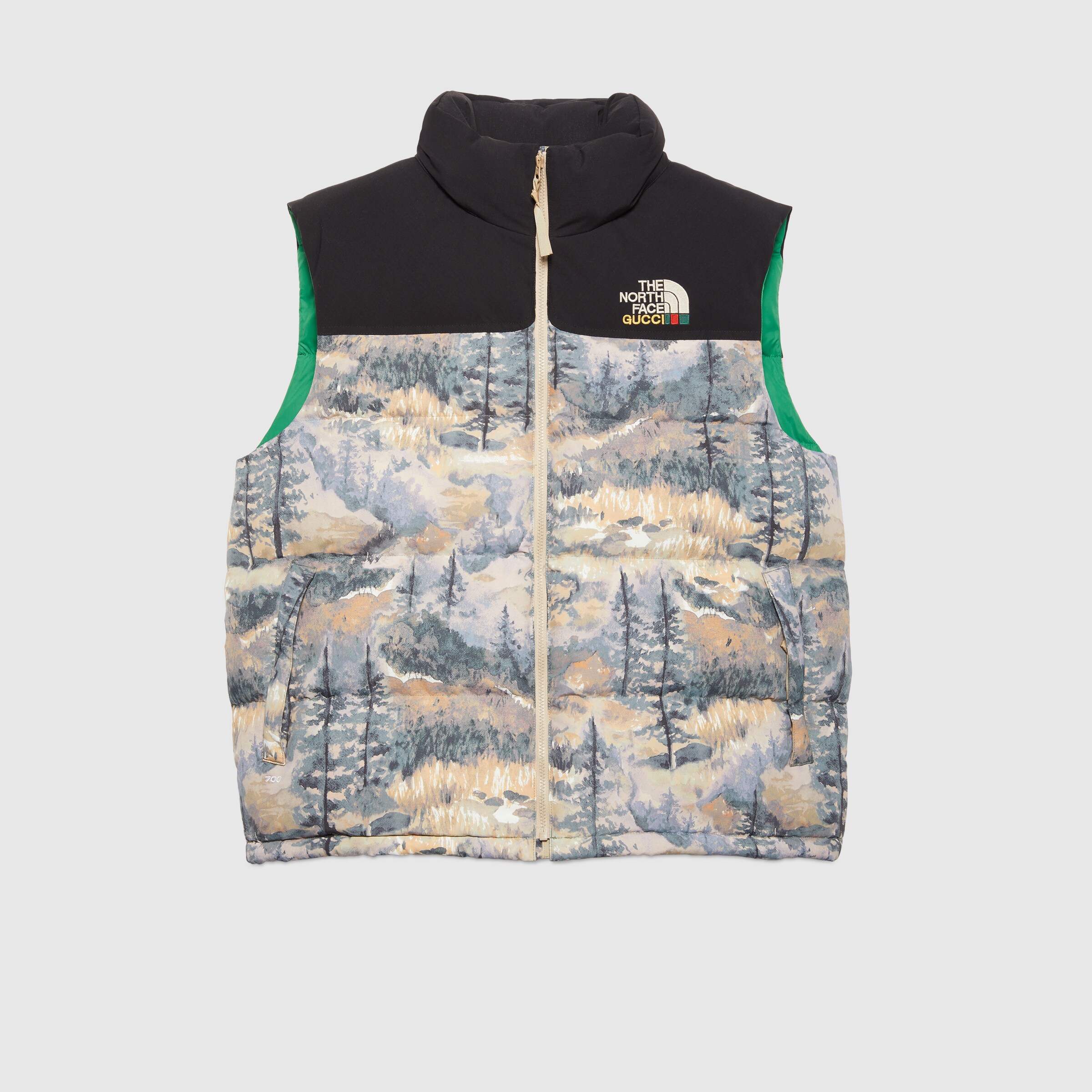 663762_XAADS_3471_001_100_0000_Light-The-North-Face-x-Gucci-down-vest.jpg