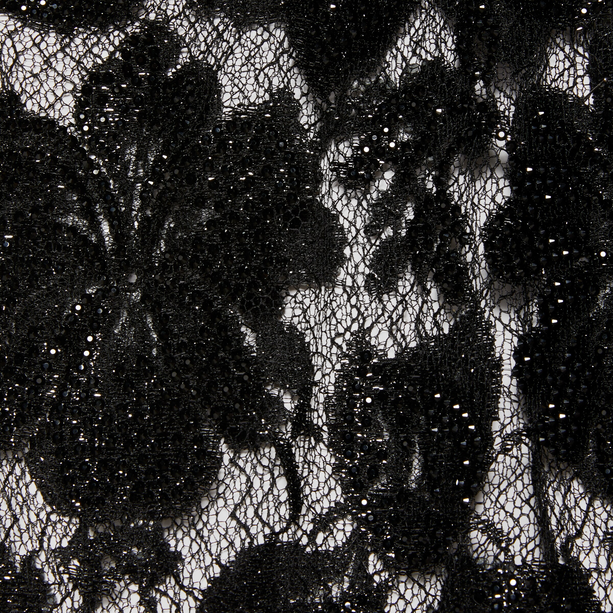 672105_ZAH2X_1000_011_100_0000_Light-Crystal-embroidery-floral-lace-skirt.jpg