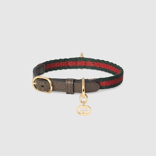 Extra-small pet collar in beige and ebony canvas | GUCCI® US