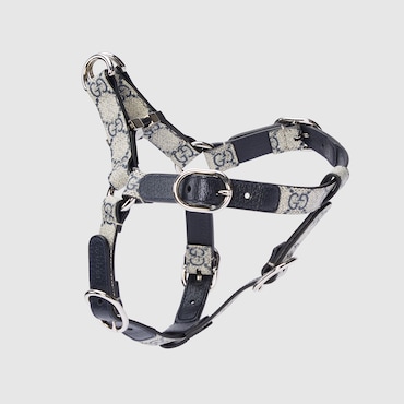 GUCCI Small/medium Pet Harness, Size S