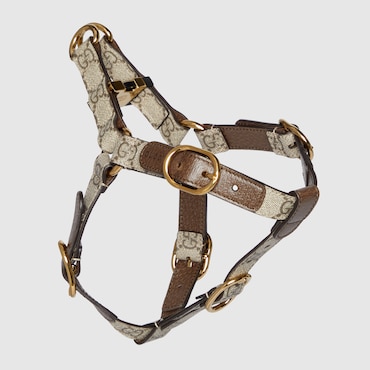 GUCCI Small/medium Pet Harness, Size S