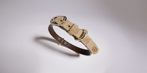 Collar pequeño/mediano para mascotas