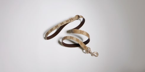 Small/medium pet leash