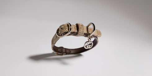 Extra-small pet collar