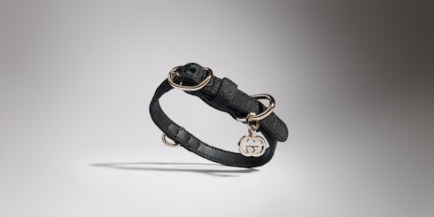 Extra-small pet collar