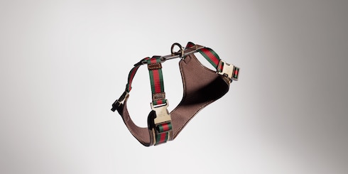 Small/medium padded pet harness