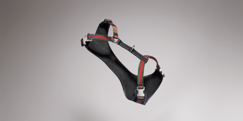 Small/medium padded pet harness